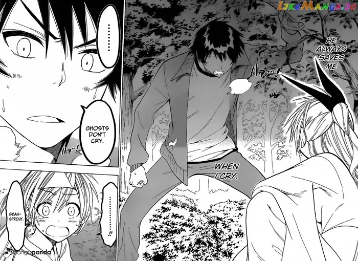 Nisekoi Chapter 25 image 13_optimized